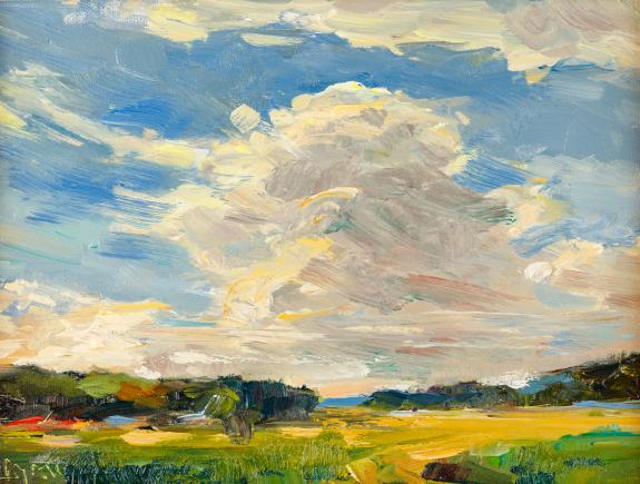 Evening Light
